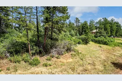 8160 Bannock Drive, Larkspur, CO 80118 - Photo 2