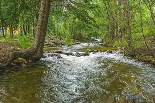 2971 Fall River Rd, Idaho Springs, CO 80452 - Photo 38