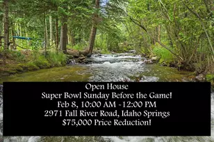 2971 Fall River Rd, Idaho Springs, CO 80452 - Photo 1