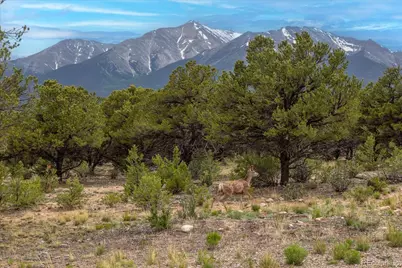 29274 Lakota Lane, Buena Vista, CO 81211 - Photo 2