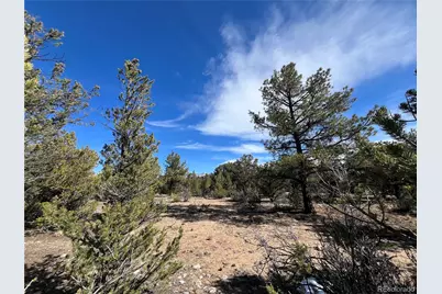 29274 Lakota Lane, Buena Vista, CO 81211 - Photo 6