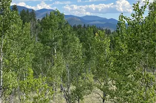 259 Bordenville Rd, Jefferson, CO 80456 - Photo 10