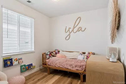 5308 Coltin Trail, Castle Rock, CO 80104 - Photo 6