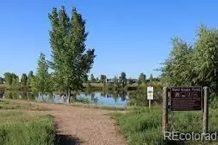 2344 Galloway St, Mead, CO 80542 - Photo 40