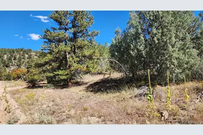 176 Arnold Drive, Cotopaxi, CO 81223 - Photo 18