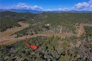 176 Arnold Dr, Cotopaxi, CO 81223 - Photo 1