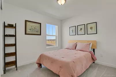 14118 Red Cosmos Street, Parker, CO 80134 - Photo 20