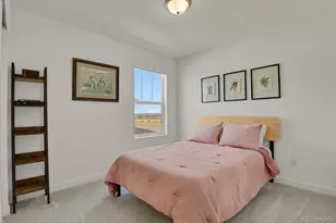 14118 Red Cosmos St, Parker, CO 80134 - Photo 20