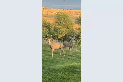 102 Canongate Lane, Highlands Ranch, CO 80130 - Photo 34
