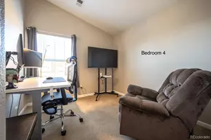 3766 Ute Mountain Trail, Castle Rock, CO 80109 - Photo 12