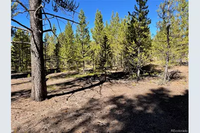 451 Virginia Avenue, Leadville, CO 80461 - Photo 10