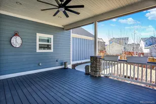 4543 Fell Mist Way, Castle Rock, CO 80109 - Photo 38