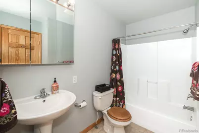813 Ermine Lane, Fraser, CO 80442 - Photo 28