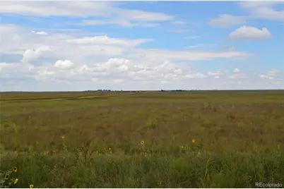 Parcel 6 County Rd 2, Rush, CO 80833 - Photo 6