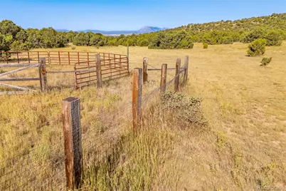 115 Cedar Canyon Road, Walsenburg, CO 81089 - Photo 42