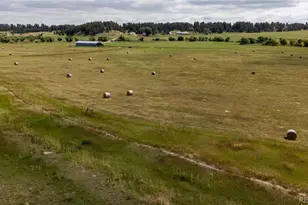 11503 E Smith Rd, Elbert, CO 80106 - Photo 6