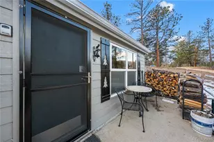106 Elk Dr, Bailey, CO 80421 - Photo 2