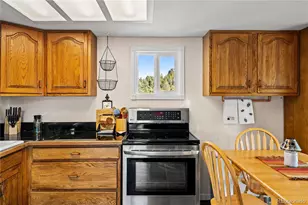 106 Elk Dr, Bailey, CO 80421 - Photo 10