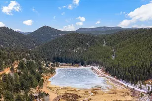 106 Elk Dr, Bailey, CO 80421 - Photo 40