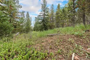 10142 S Turkey Creek Rd, Morrison, CO 80465 - Photo 42