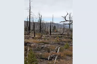 Lot 2301 Wohlstetter Loop, Fort Garland, CO 81133 - Photo 1