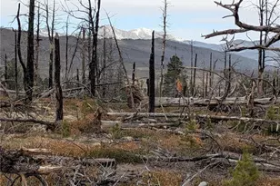 Lot 2301 Wohlstetter Loop, Fort Garland, CO 81133 - Photo 1
