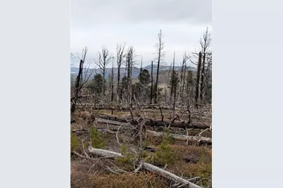 Lot 2301 Wohlstetter Loop, Fort Garland, CO 81133 - Photo 2