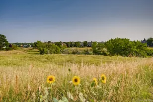 2225 Mountain Sage Dr, Highlands Ranch, CO 80126 - Photo 38