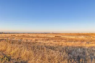 1342 S Cathay Ct, Aurora, CO 80017 - Photo 44