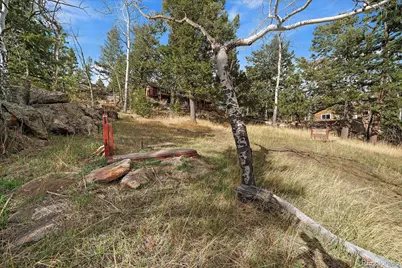 81 Raccoon Circle, Evergreen, CO 80439 - Photo 48