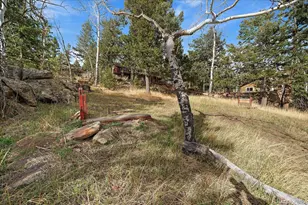 81 Raccoon Cir, Evergreen, CO 80439 - Photo 48