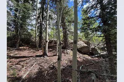 113 Ithaca Lane, Como, CO 80432 - Photo 12