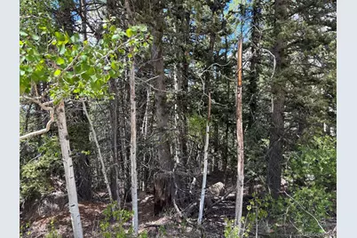 113 Ithaca Lane, Como, CO 80432 - Photo 16