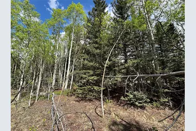 113 Ithaca Lane, Como, CO 80432 - Photo 6