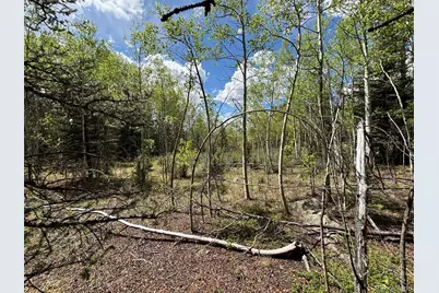 113 Ithaca Lane, Como, CO 80432 - Photo 8