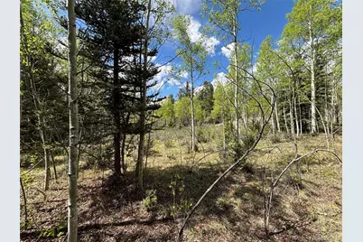 113 Ithaca Lane, Como, CO 80432 - Photo 10