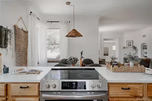 1690 Pontiac St, Denver, CO 80220 - Photo 18