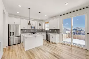 2039 Peachleaf Loop, Castle Rock, CO 80108 - Photo 6