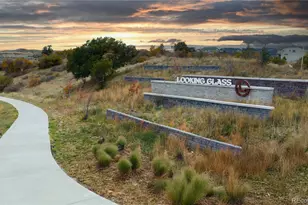 13717 Daffodil Point, Parker, CO 80134 - Photo 32