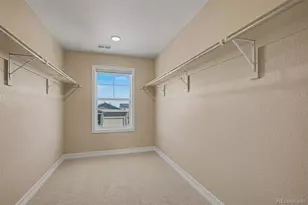 287 Vista Cliff Cir, Castle Rock, CO 80104 - Photo 16