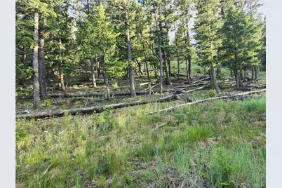 900 Elk Valley Drive, Evergreen, CO 80439 - Photo 42