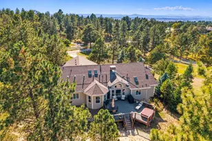 11356 Random Valley Cir, Parker, CO 80134 - Photo 44