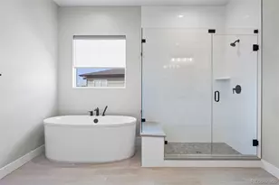 3202 Wingspan Pt, Castle Rock, CO 80108 - Photo 16