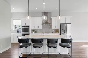 3202 Wingspan Pt, Castle Rock, CO 80108 - Photo 8