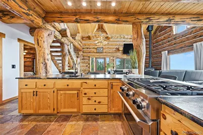 25504 Mountain Moss Court, Evergreen, CO 80439 - Photo 16