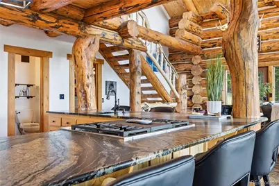 25504 Mountain Moss Court, Evergreen, CO 80439 - Photo 20