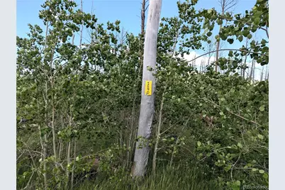 1590 Douglas Lane, Fort Garland, CO 81133 - Photo 2