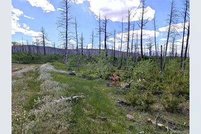 1590 Douglas Lane, Fort Garland, CO 81133 - Photo 4