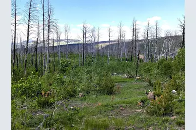 1590 Douglas Lane, Fort Garland, CO 81133 - Photo 1