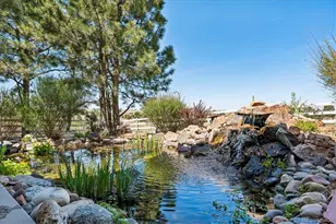46527 Sunsetview Way, Parker, CO 80138 - Photo 34